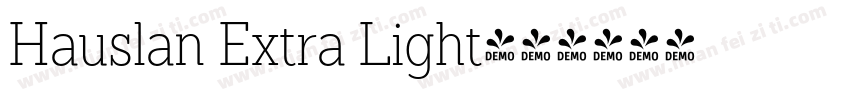 Hauslan Extra Light字体转换